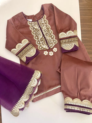 ‘Kashish’ Blush Velvet Indianwear set